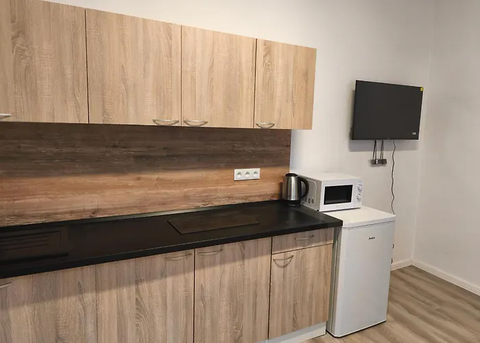 Stary Dvor Apartman